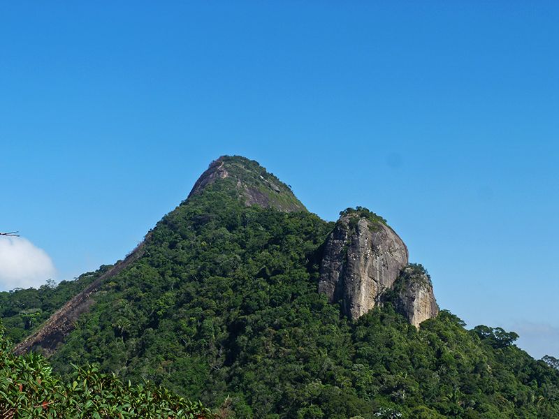 Rio de Janeiro: Tijuca Peak Guided Hike - Pace, fitness, and the altitude reality check