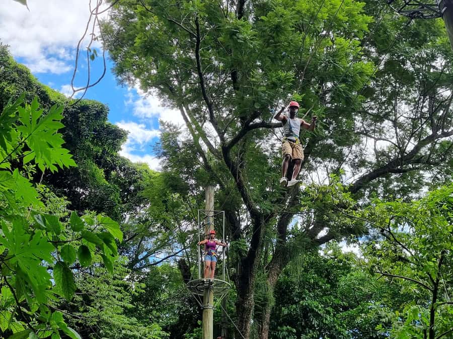 Rio de Janeiro: Zip Lining and Canopy Tree Tour - Parque Natural da Catacumba, a Nature Break 20 Minutes from Town