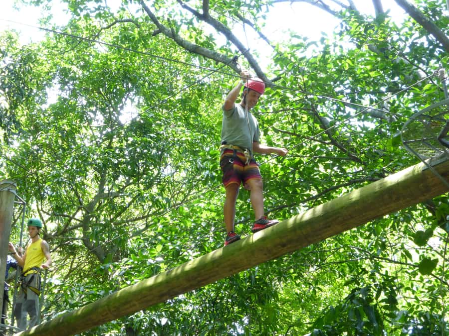 Rio de Janeiro: Zip Lining and Canopy Tree Tour - The 1 Hour Hike to Viewpoints: Easy Label, Real Rewards