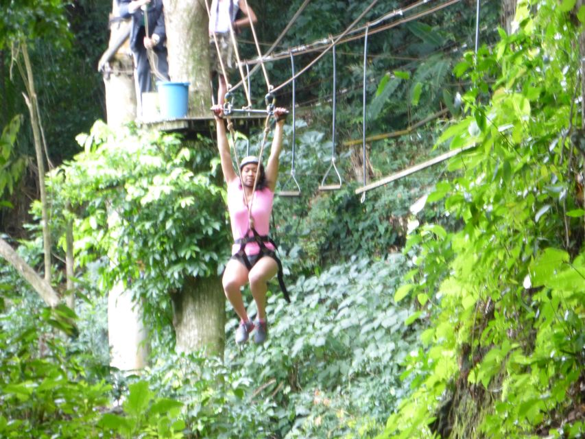 Rio de Janeiro: Zip Lining and Canopy Tree Tour - What Makes This Tour Worth It (When It Clicks)
