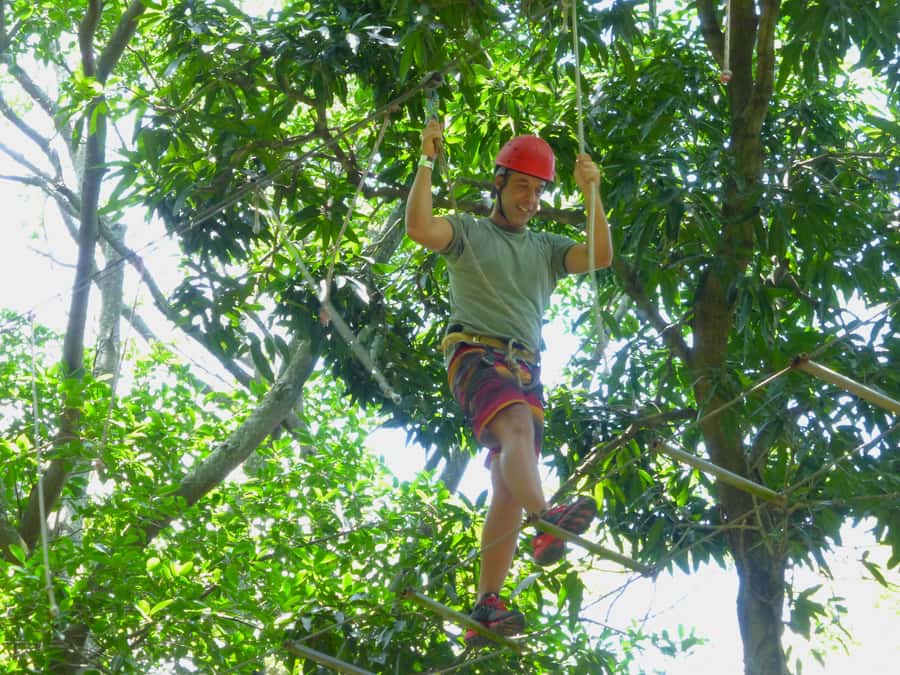 Rio de Janeiro: Zip Lining and Canopy Tree Tour - Pickup and Timing: A Tight 3 Hour Circuit