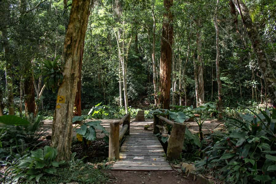 Rio: Half-Day Jeep Tour at Floresta da Tijuca - Who This Tour Works Best For (And Who Might Want a Longer Hike)