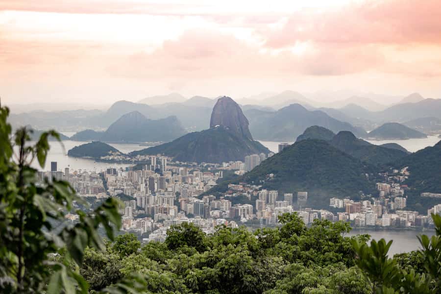 Rio: Half-Day Jeep Tour at Floresta da Tijuca - Open-Air Military Jeep Through Tijuca, Built for a 4-Hour Day