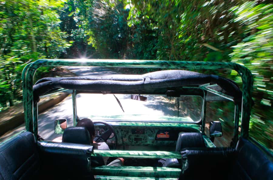 Rio: Half-Day Jeep Tour at Floresta da Tijuca - Cascatinha Visconde de Taunay Waterfall Dip, Clear Water and Quick Cool Down