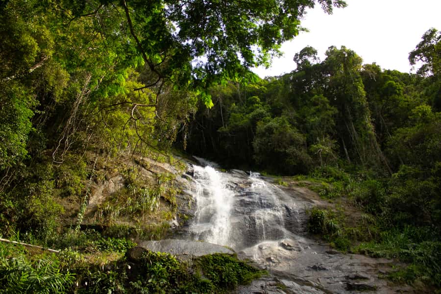 Rio: Half-Day Jeep Tour at Floresta da Tijuca - Capela Mayrink Chapel From 1855 and the First Trail Walk