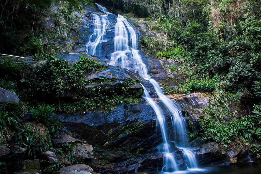 Rio: Half-Day Jeep Tour at Floresta da Tijuca - Price and Logistics: What $60 Buys in Real Terms
