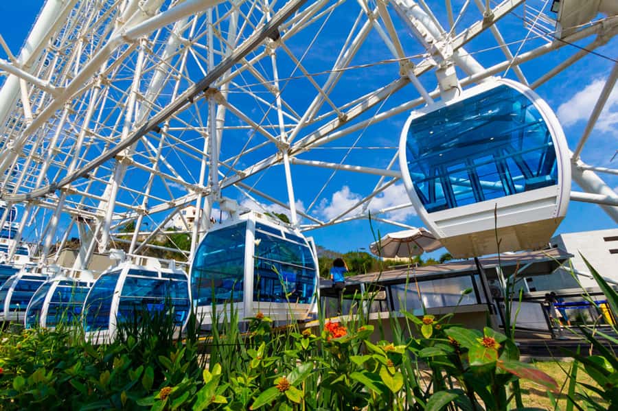 Rio: Museum of Tomorrow, Yup Star & Olympic Boulevard - Key points I’d plan around