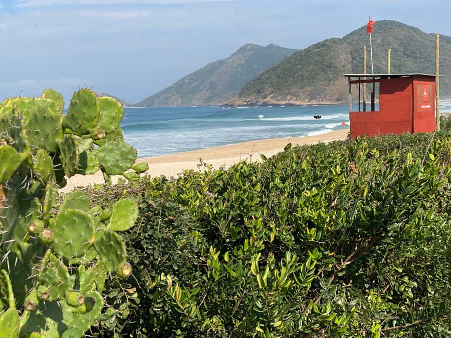 Rio: Pedra do Telégrafo Hiking & Relax in a Wild Beach - Pace, Safety, And The One Thing You Should Not Rush