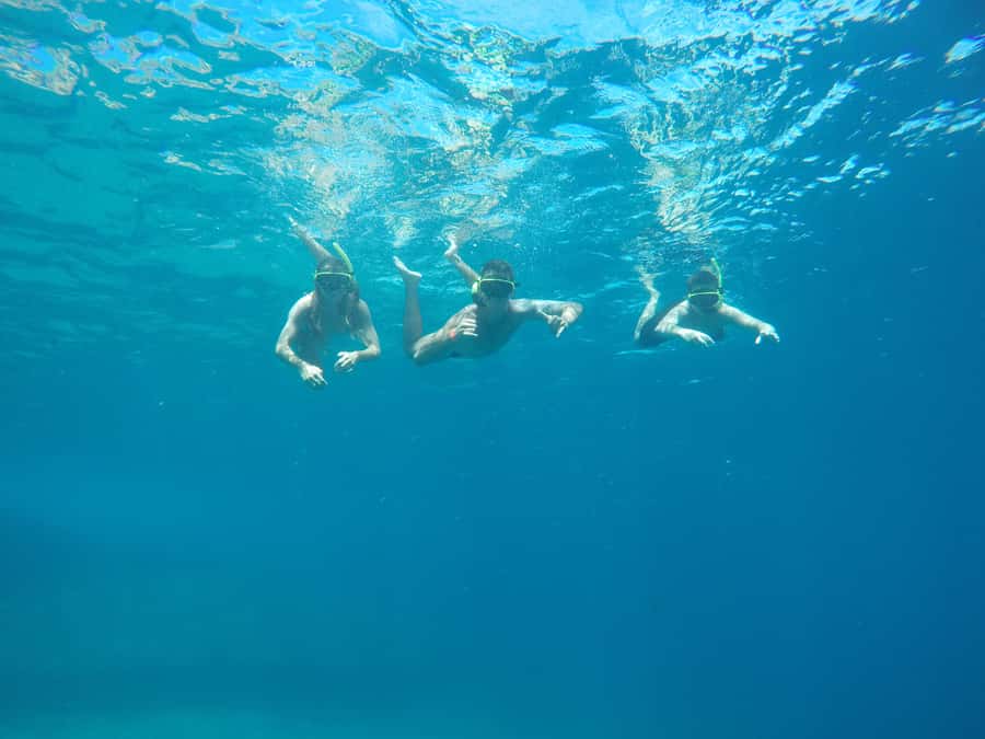 Rio: Snorkel & Swim with Turtles Tour at Tijuca Islands - Why this Tijuca Islands snorkeling tour feels like a smart Rio morning