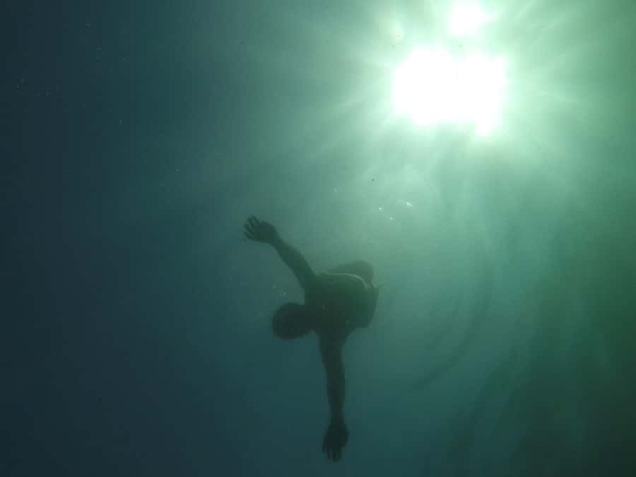 Rio: Snorkel & Swim with Turtles Tour at Tijuca Islands - Stop 3 at the Tijuca Islands: snorkeling time where sea life becomes real