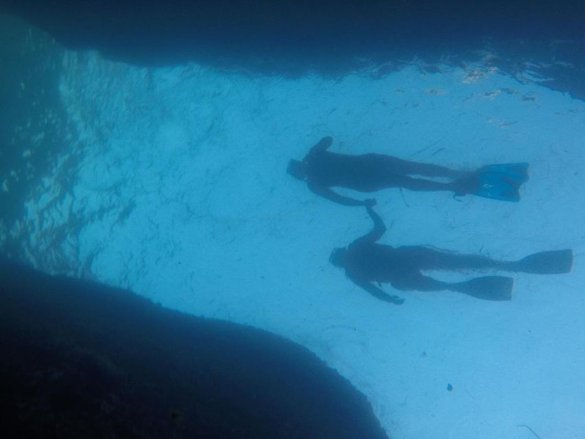Rio: Snorkel & Swim with Turtles Tour at Tijuca Islands - Stop 4 island walk: that short shore time can add a lot