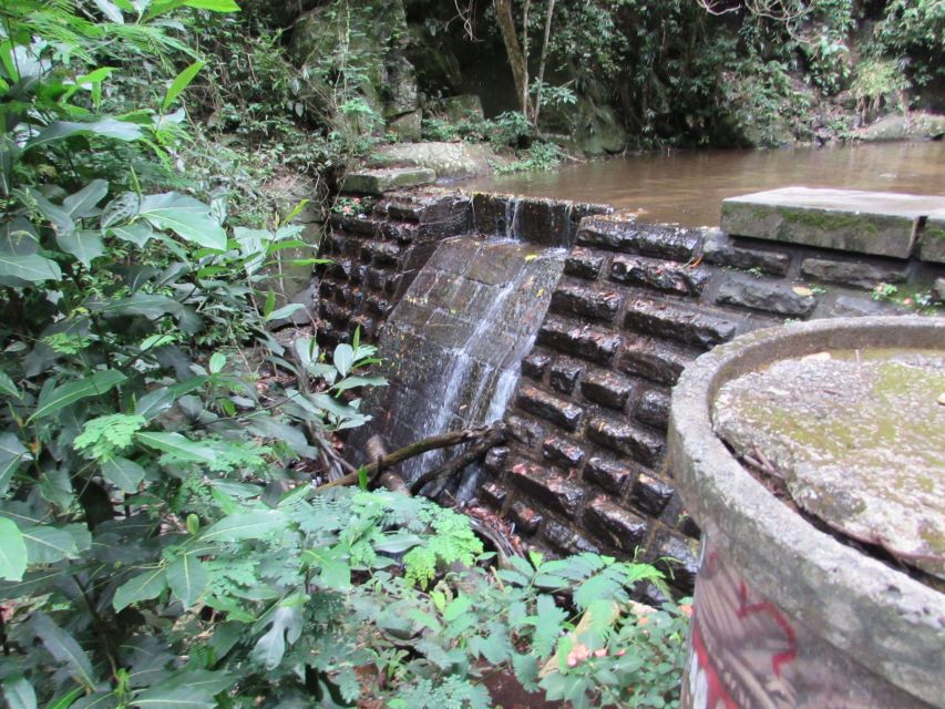 Rio: Tijuca Forest & Horto Waterfalls Circuit Tour - Key highlights to know before you go