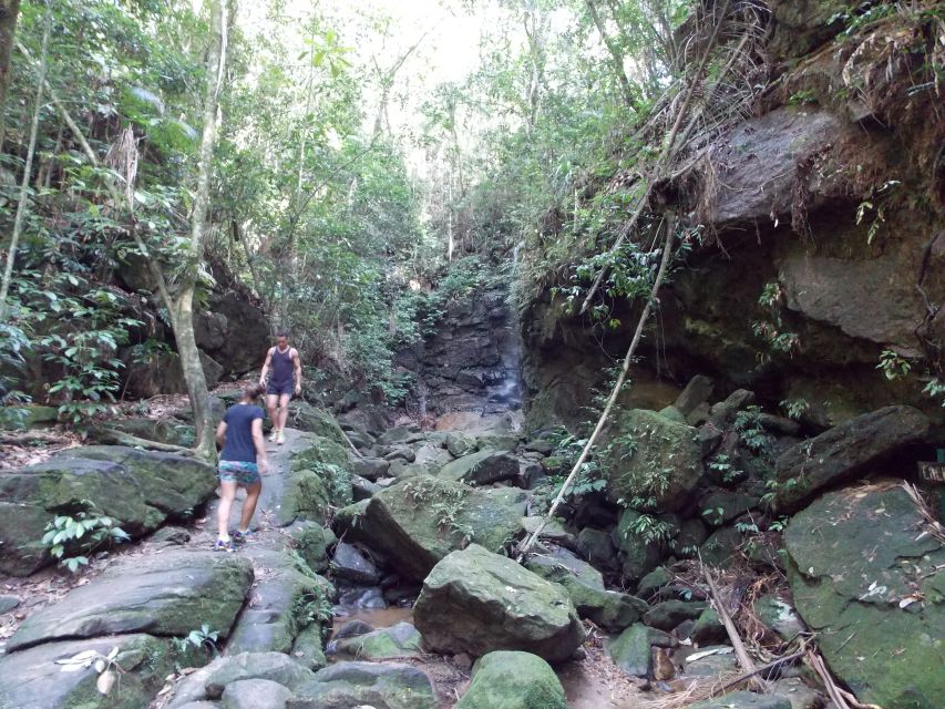 Rio: Tijuca Forest & Horto Waterfalls Circuit Tour - What makes the hike feel worth it: guides, wildlife, and story time
