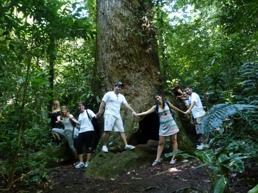 Rio: Tijuca Forest & Horto Waterfalls Circuit Tour - Difficulty level: what moderate really means on this route