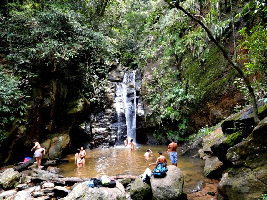 Rio: Tijuca Forest & Horto Waterfalls Circuit Tour - Price and value: why $56 can make sense