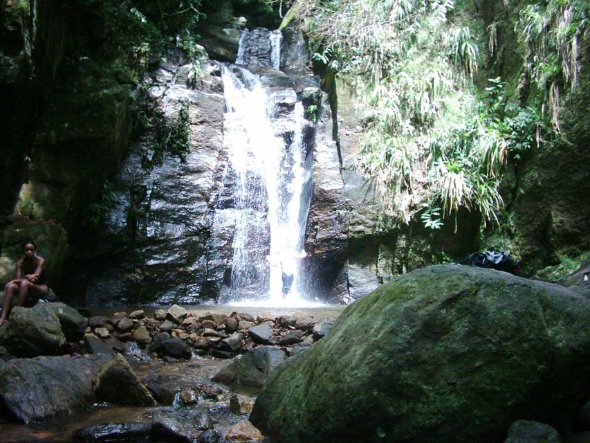 Rio: Tijuca Forest & Horto Waterfalls Circuit Tour - Small groups, bilingual help, and the feel of a real activity