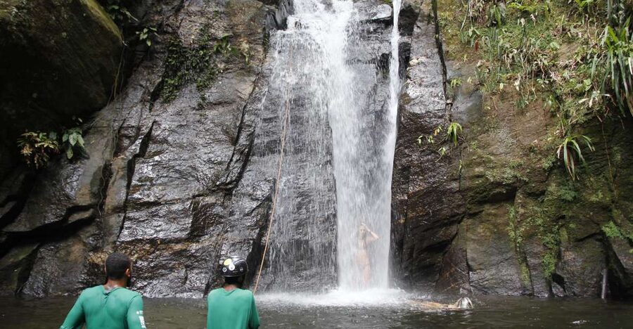 Rio: Tijuca Forest & Horto Waterfalls Circuit Tour - The 4-hour circuit: Horto trail to Cachoeira do Chuveiro