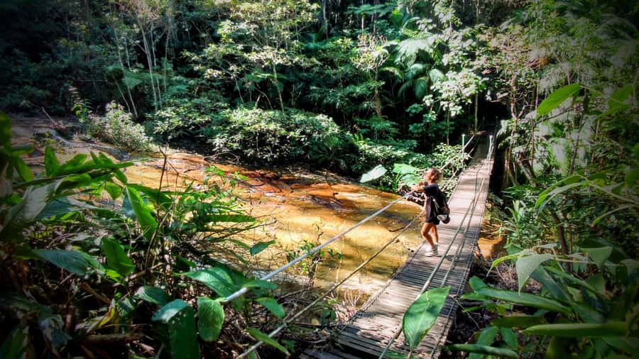 Rio: Tijuca Forest Small Group Hike to Caves and Waterfalls - Quick reasons to choose this Tijuca Forest hike