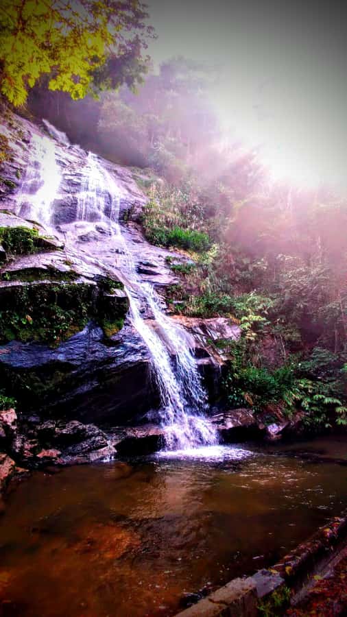 Rio: Tijuca Forest Small Group Hike to Caves and Waterfalls - What to bring and how to avoid the common comfort problems