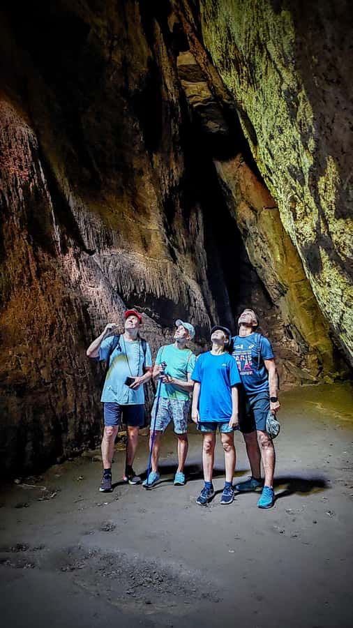 Rio: Tijuca Forest Small Group Hike to Caves and Waterfalls - Tijuca Forest in one half day, what makes the route feel different