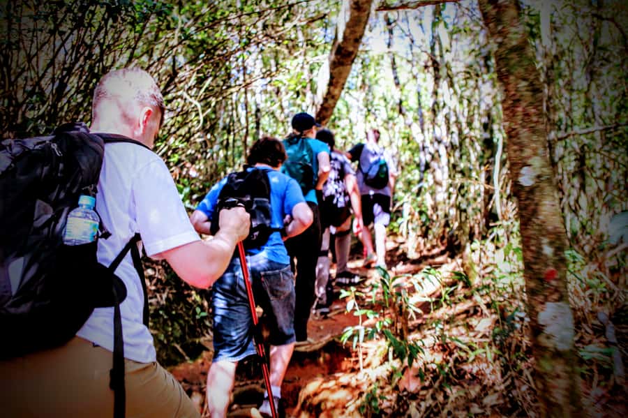 Rio: Tijuca Forest Small Group Hike to Caves and Waterfalls - Mirante da Palmira and the viewpoints, finishing strong without sprinting back