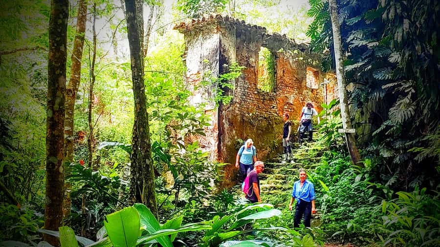Rio: Tijuca Forest Small Group Hike to Caves and Waterfalls - The 6.2 km moderate hike, elevation gain, and pacing you can trust