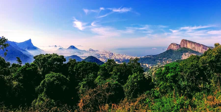 Rio: Tijuca National Park Small-Group Hike to Pedra Bonita - Guide style: bilingual, tuned in to plants, and great at explanations