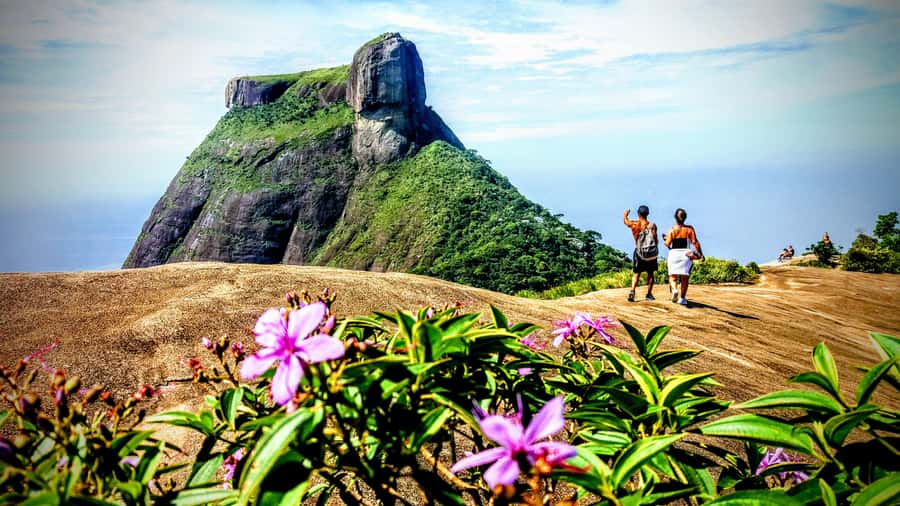 Rio: Tijuca National Park Small-Group Hike to Pedra Bonita - Price and value: what $63 buys in real terms