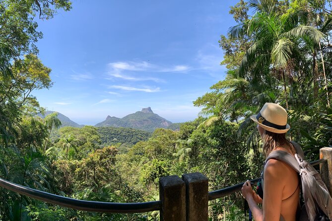 Tijuca Forest Hike - Waterfalls & Caves, Nature & Wild Life! - Key highlights you’ll actually feel on the walk