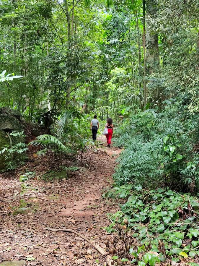 Tijuca Forest´s hike: caves, waterfalls and great views - Rainforest Trails and Historical Stops That Actually Matter