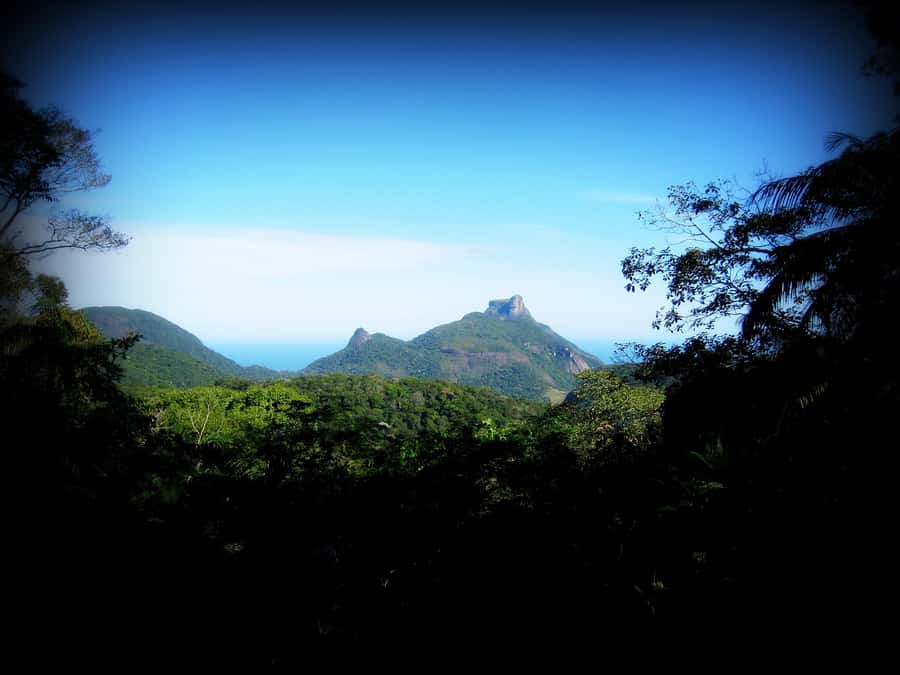 Tijuca Forest´s hike: caves, waterfalls and great views - Caves and Cachoeira das Almas, a Different Side of Tijuca
