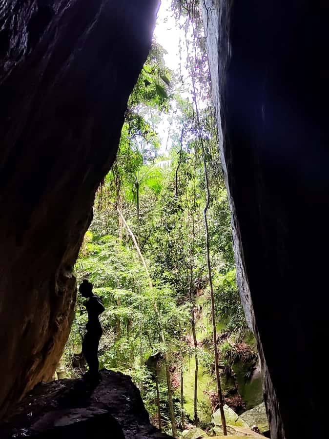 Tijuca Forest´s hike: caves, waterfalls and great views - How Hard Is It Really, and What You Should Bring