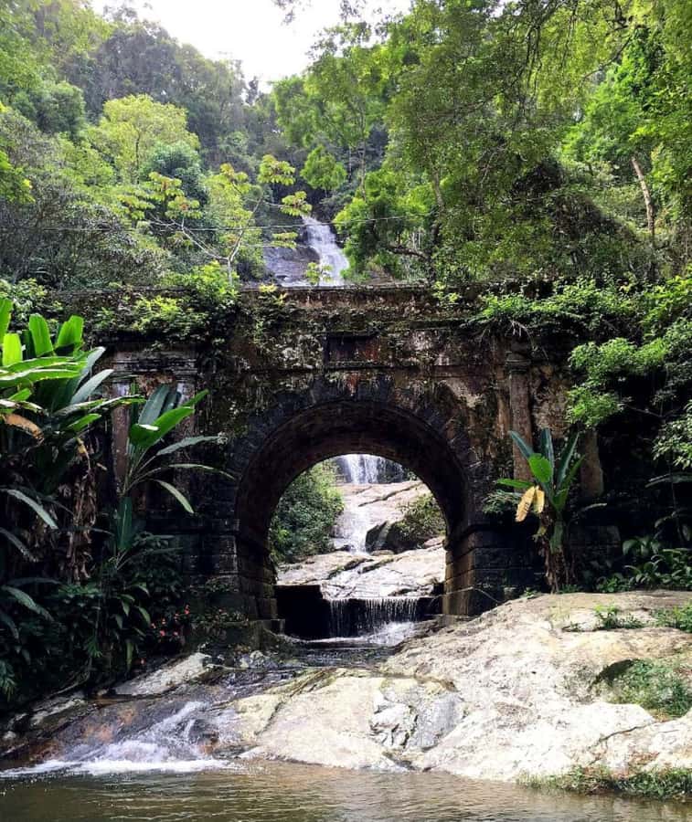 Tijuca Forest´s hike: caves, waterfalls and great views - Weather, Cancellations, and the Real-World Timing