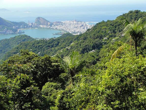 Tijuca National Park and all its wonders - Key things to know before you go