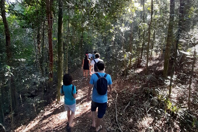 Tijuca National Park and all its wonders - Cascatinha Taunay: the 35-meter main event and why timing matters