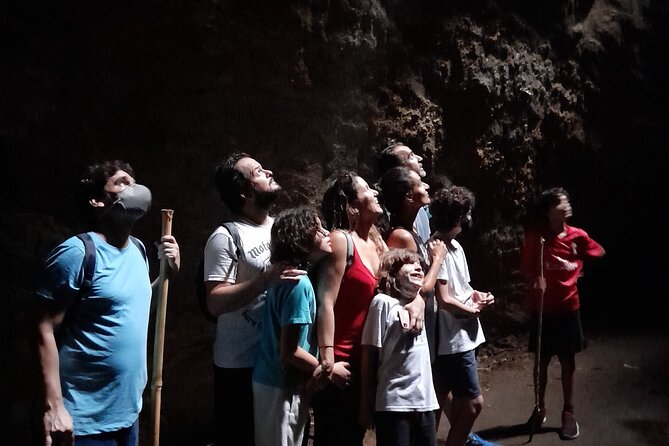 Tijuca National Park and all its wonders - What about the weather and the 8:00 am start?