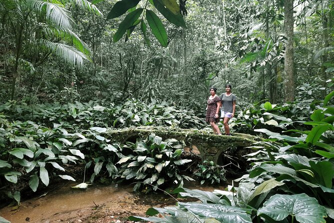 Tijuca National Park and all its wonders - NGO-minded conservation: why it matters on a hike
