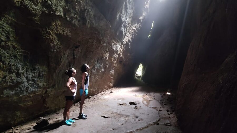 Tijuca National Park and all its wonders! - 6 to 12 km in dense forest: how to choose your pace
