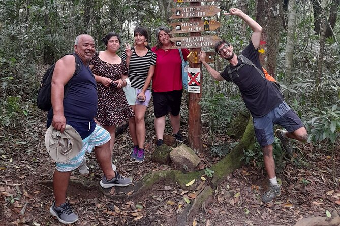 Tijuca National Park and all its wonders! - Your 4-hour game plan, from Praça Afonso Viseu