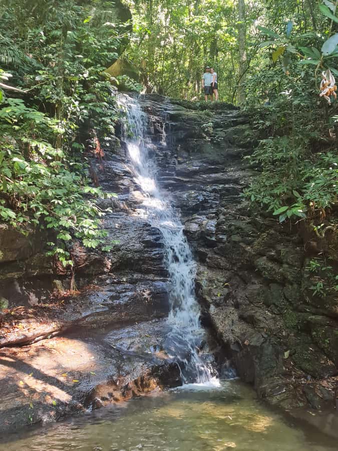 Tijuca Rain Forest - Adventure through Waterfalls & Caves - Guide Quality That Shows Up in the Details
