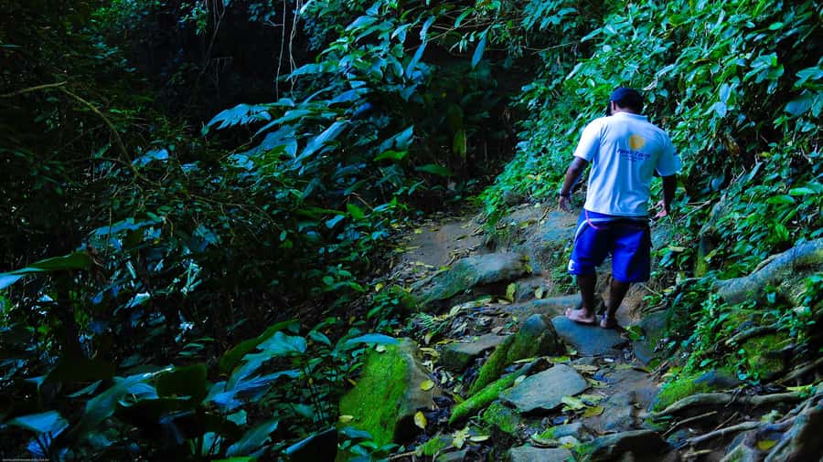 Trindade Day Trip: Nature and Sea Adventure from Paraty - Why Trindade Day Trips from Paraty Feel Worth It