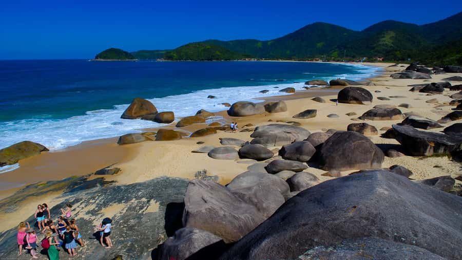 Trindade Day Trip: Nature and Sea Adventure from Paraty - What the Small Group Style Does for You