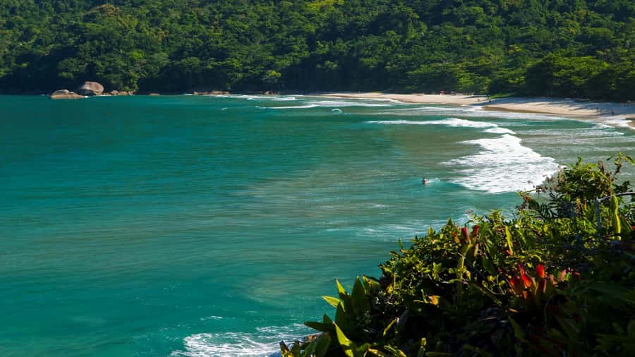 Trindade Day Trip: Nature and Sea Adventure from Paraty - Price and Value: Is $107 a Fair Trade for 6 Hours?